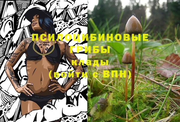COCAINE Алексеевка