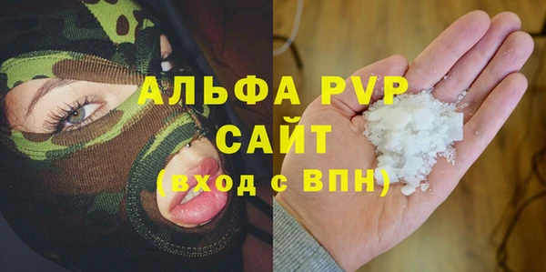 Альфа ПВП Иноземцево